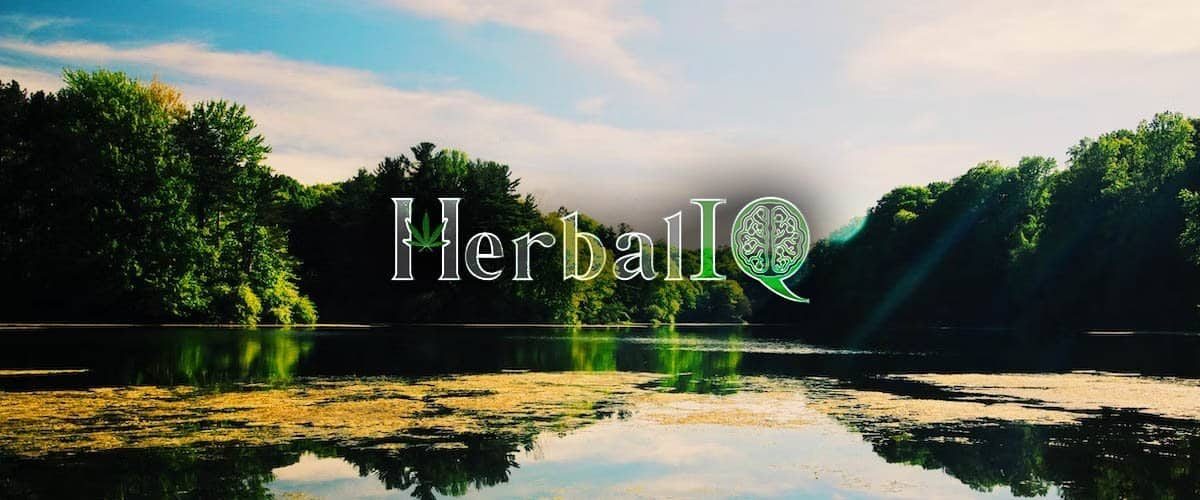 Herbal-IQ-Rochester-Recreational-Cannabis-Dispensary