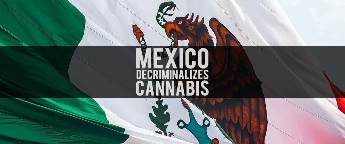 Mexico-Decriminalizes-Cannabis