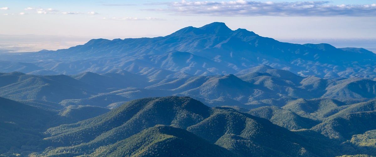 Military-Police-Destroy-7755-Cannabis-Plants-in-Cambodia-min