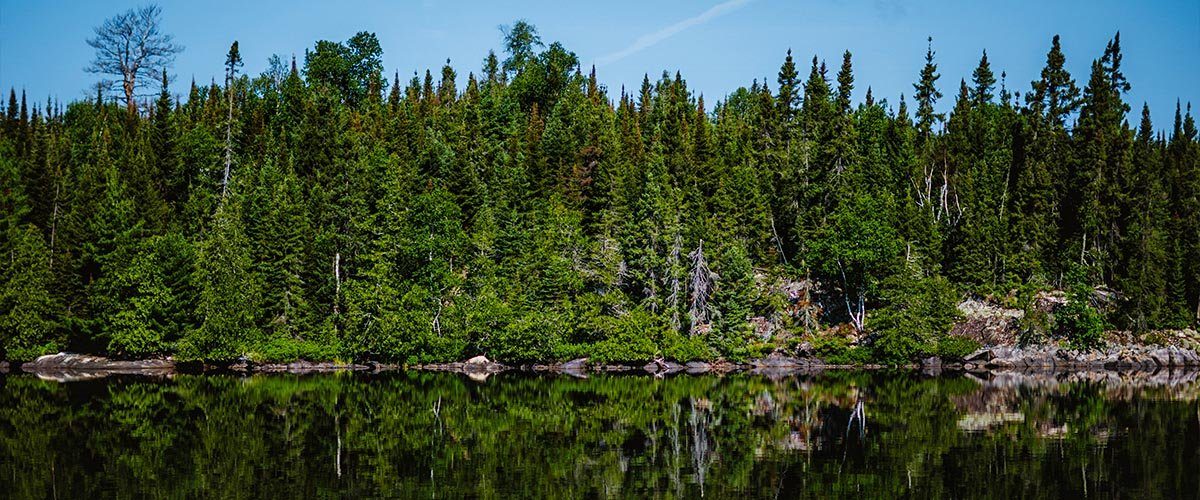 Native-Dispensaries-In-Minnesota-Open