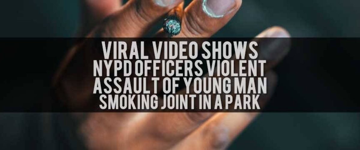 Nypd-Violent-Arrest-Over-Joint