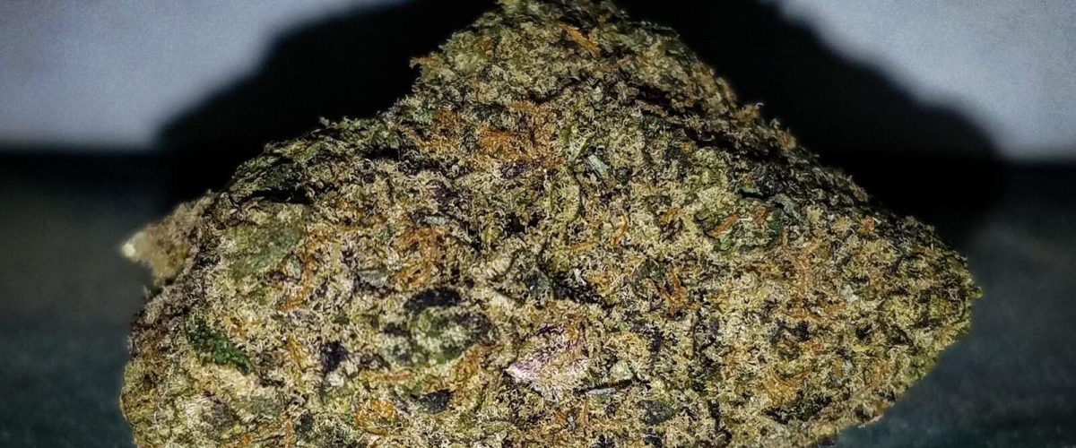 Pink-Runtz-Coffeeshop-Bushdocter-June-2020-wecompress.com_-scaled