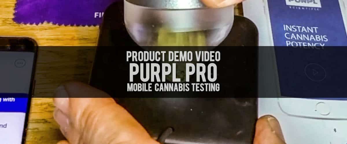 Instantly test your cannabis flower with Purpl Pro's potency analysis capabilities