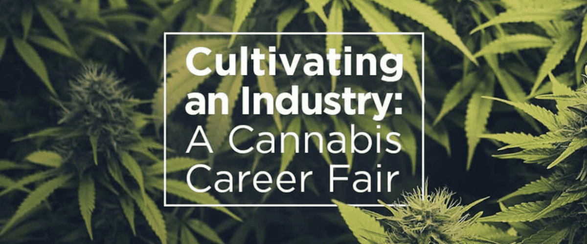 Screen-Shot-2019-11-05-at-9.25.52-PM