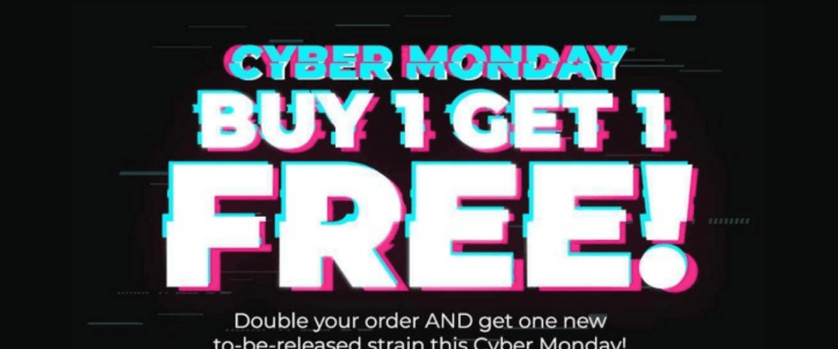 Screen-Shot-2019-12-04-at-2.05.12-AM