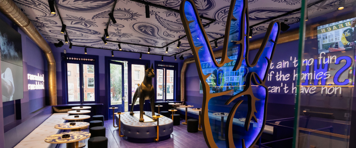 Screen-Shot-2024-08-01-at-2.34.16-AM