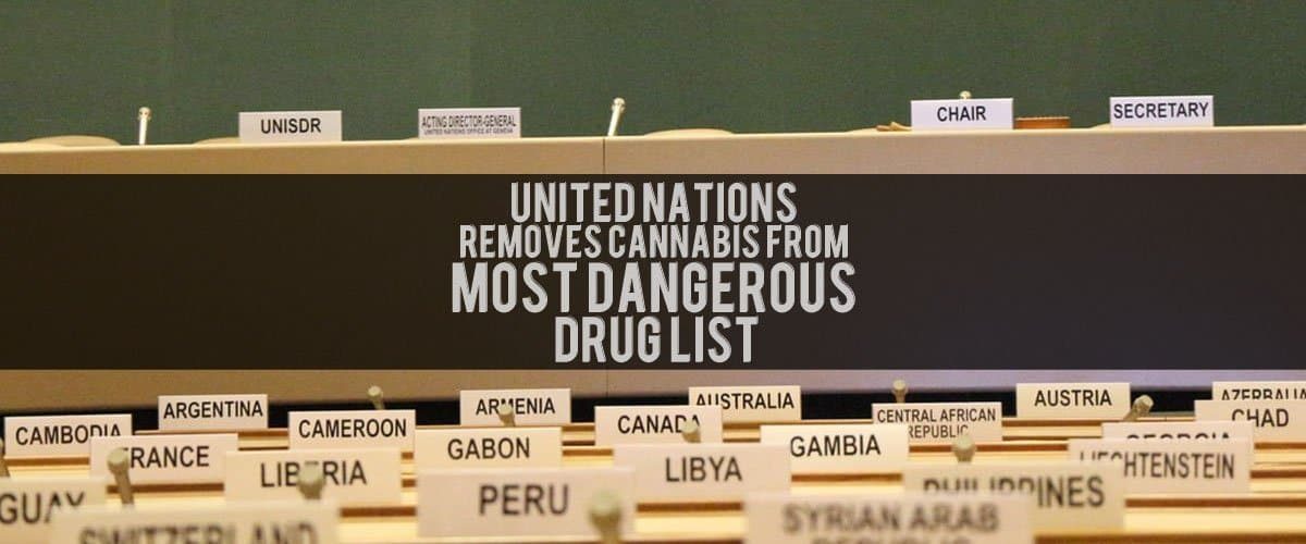 UNITED-NATIONS-Removes-Cannabis-From-Most-Dangerous-Drug-List