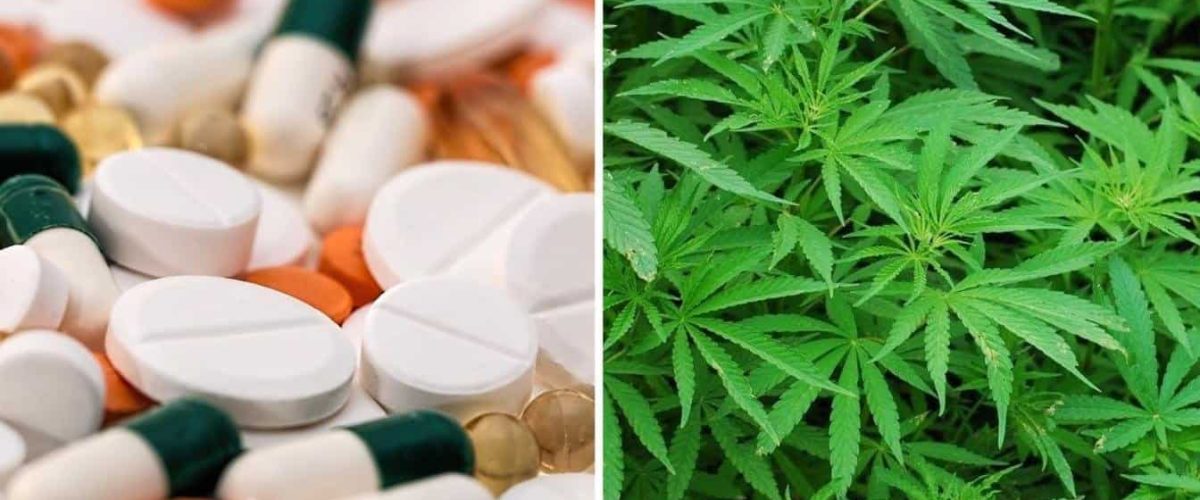 Untitled-collage-wecompress.com_