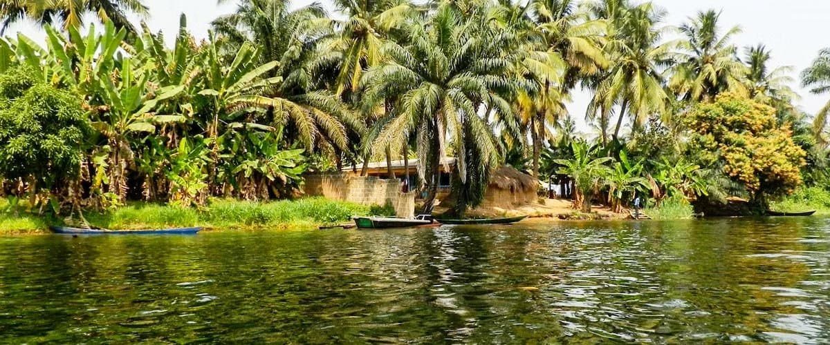 cannabis-cultivation-in-ghana-for-industrial-and-medical-purposes
