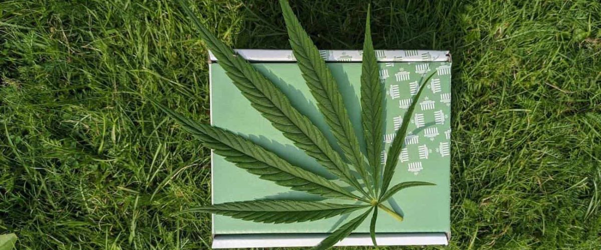 cbd-leaf-package
