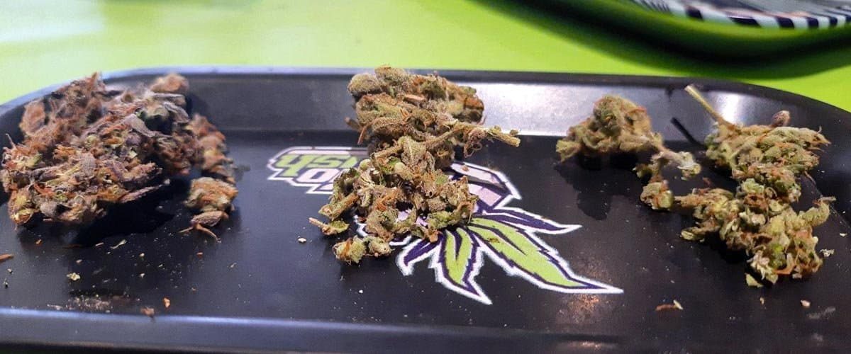 featured-image-Amsterdam-Top-5-E5-Coffeeshop-Cannabis-Deals-2022