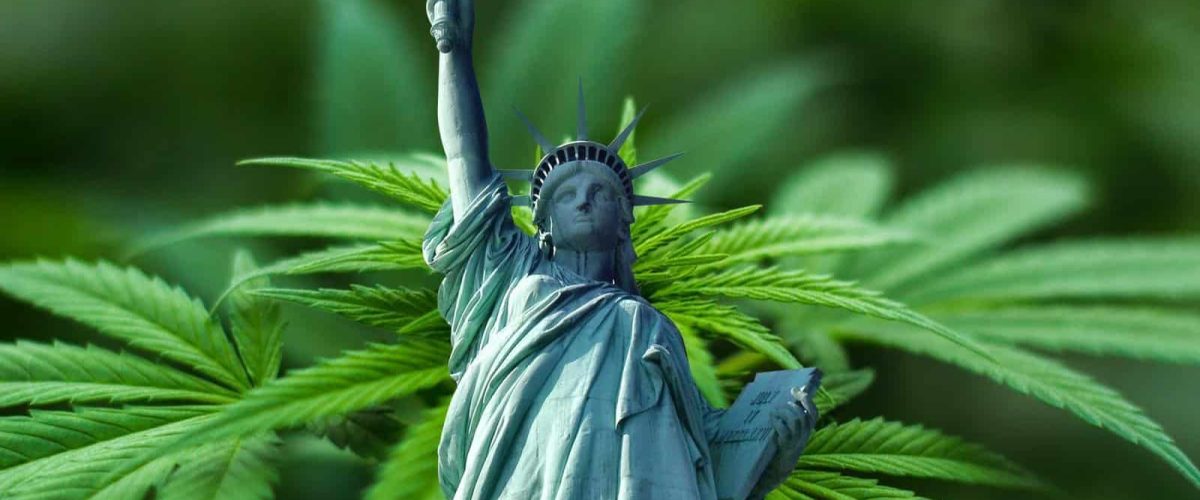 liberty-cannabis-wecompress.com_