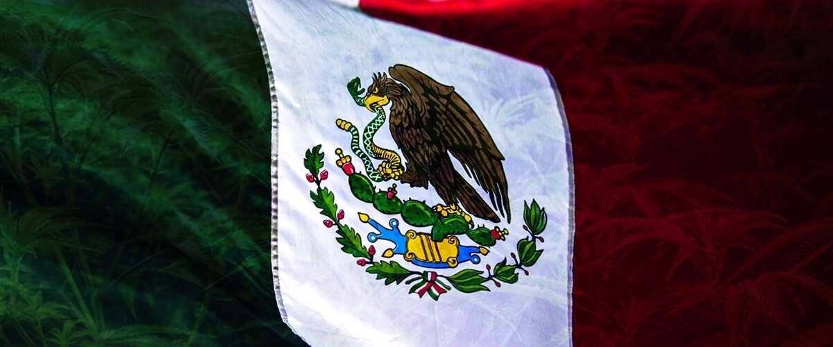 mexico-cannabis-legalization