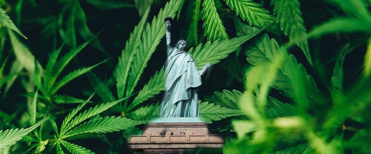 new-york-state-to-legalize-cannabis-2021