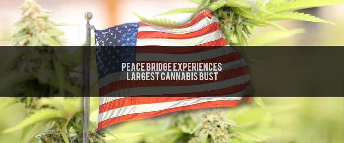 peace-bridge-bust-july-22