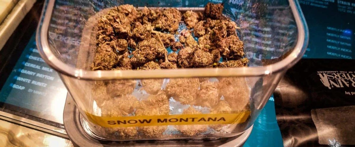strain-hunters-coffeeshop-grand-opening-5-