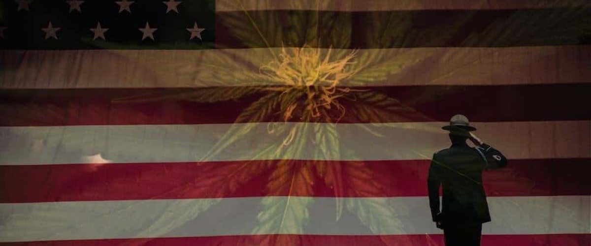 veteran-cannabis-wecompress.com_
