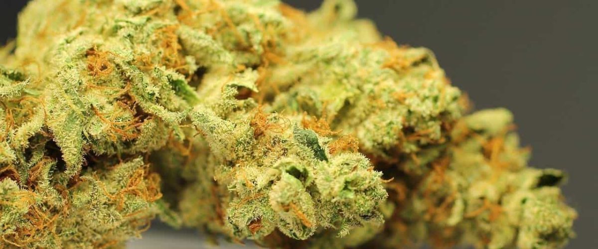 weed-4263071_1280-wecompress.com_