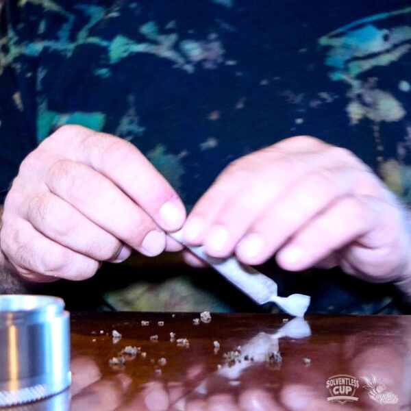 Hands rolling cannabis joint at Solventless Cup
