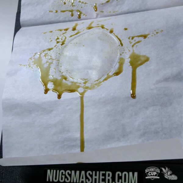 Cannabis flower rosin in circle shape on parchment paper
